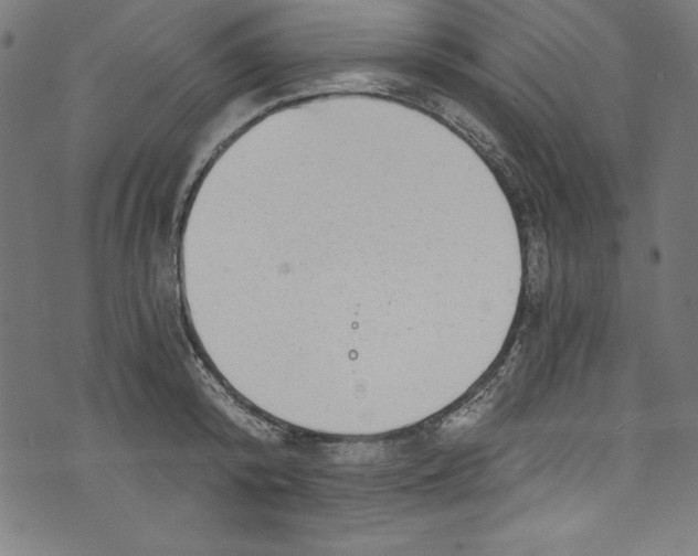 X0000072980800200608211348