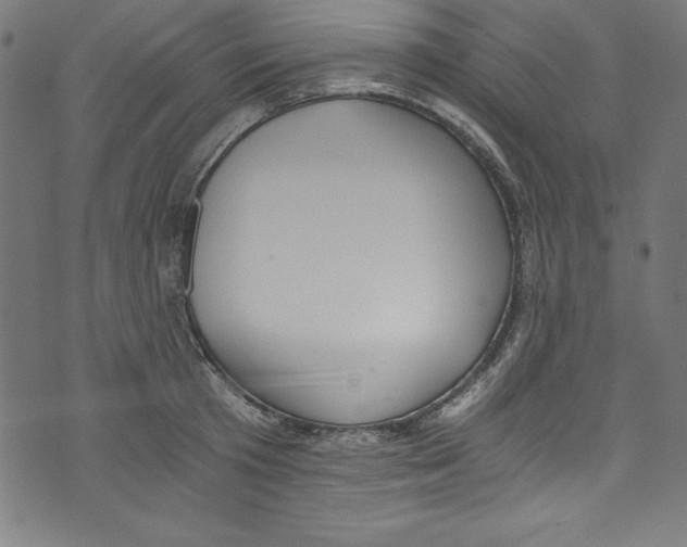 X0000072980801200608211348