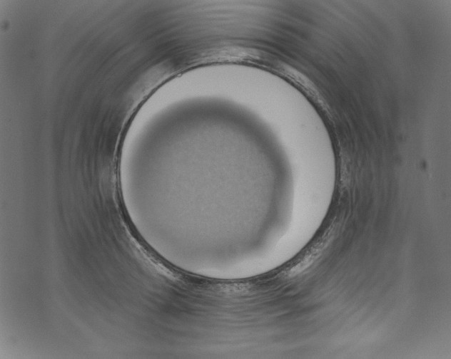 X0000072980802200608211348