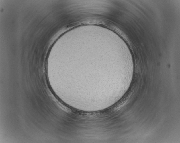 X0000072980803200608211348