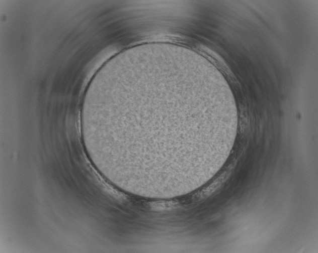 X0000072980804200608211348