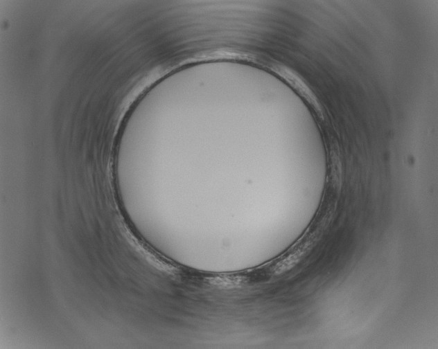 X0000072980805200608211348