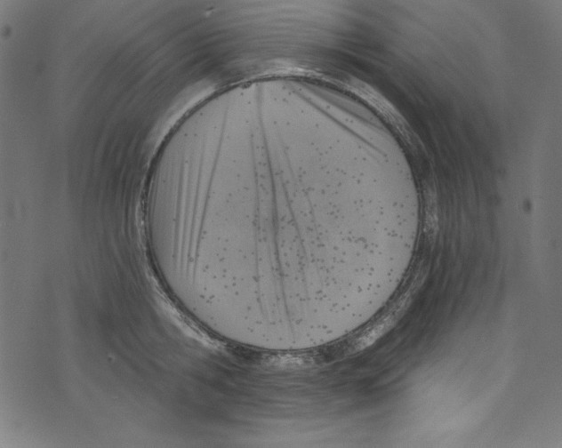 X0000072980806200608211348