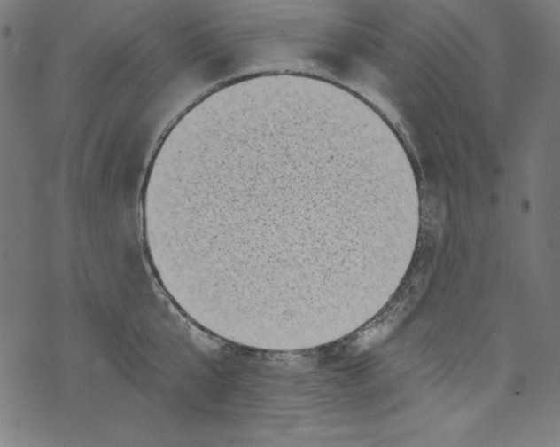 X0000072980807200608211348