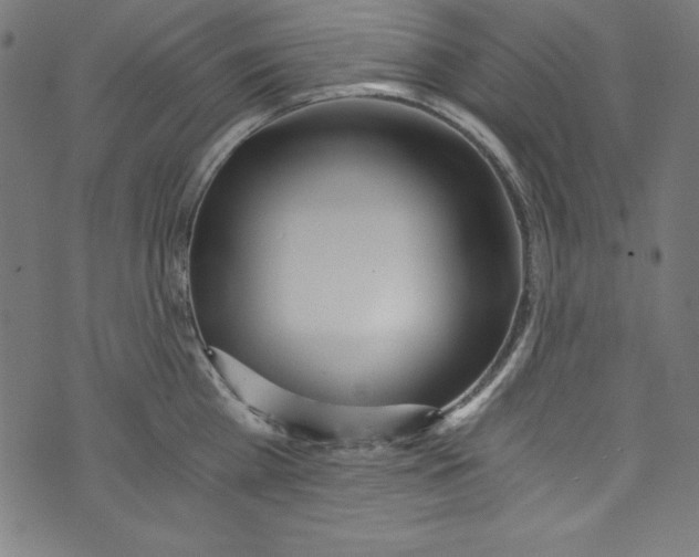 X0000072980809200608211348