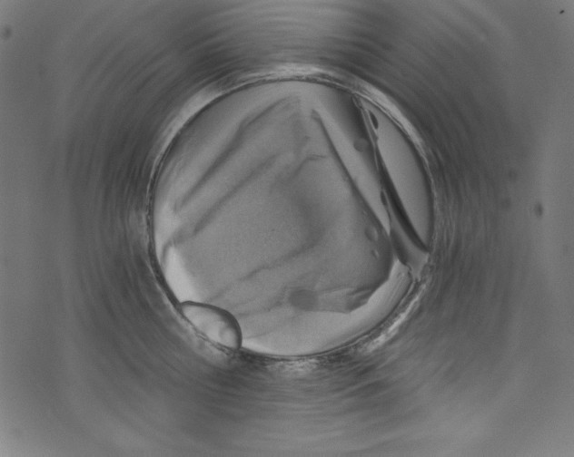 X0000072980810200608211348