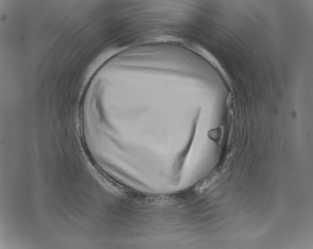 X0000072980811200608211348