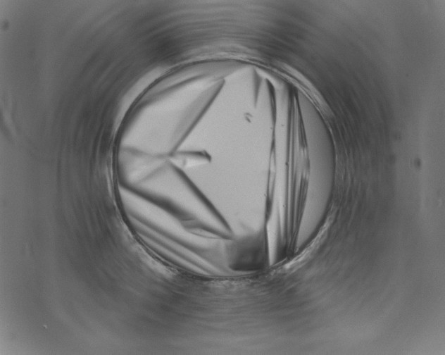 X0000072980812200608211348