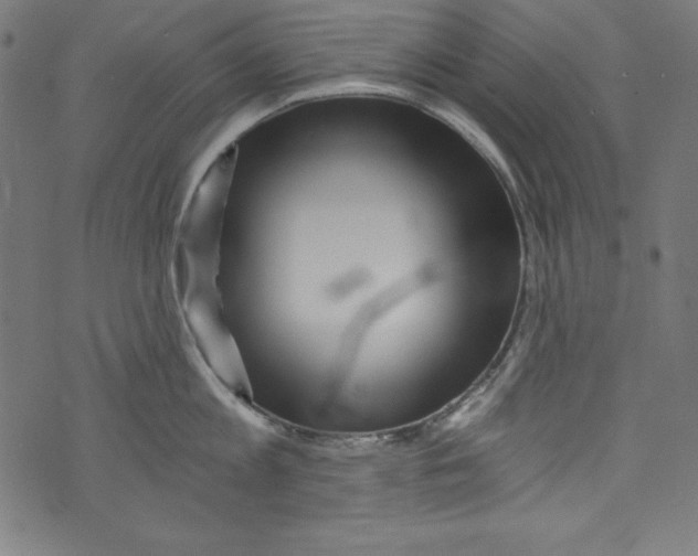 X0000072980813200608211348