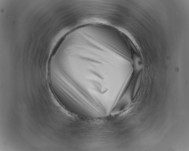 X0000072980815200608211348