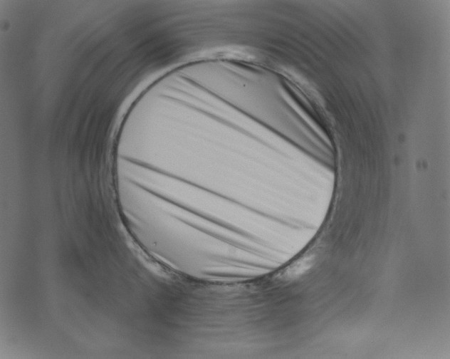 X0000072980816200608211348