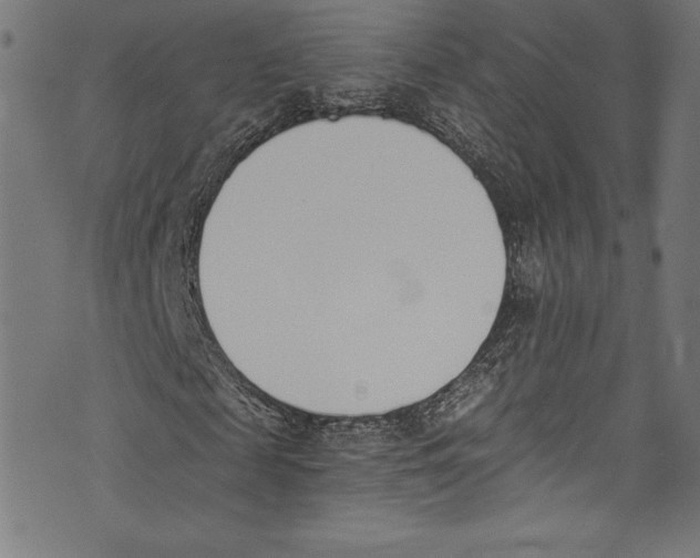 X0000072980817200608211347