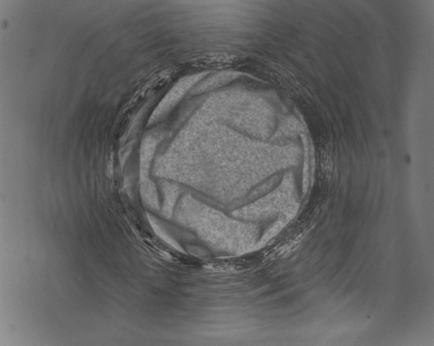 X0000072980818200608211347