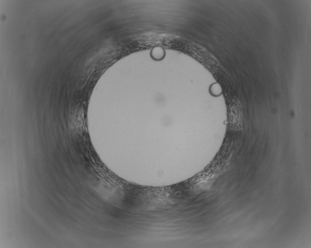 X0000072980820200608211347