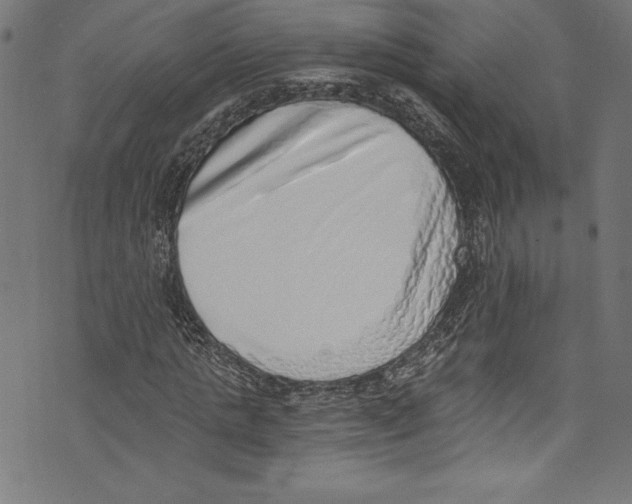 X0000072980821200608211347