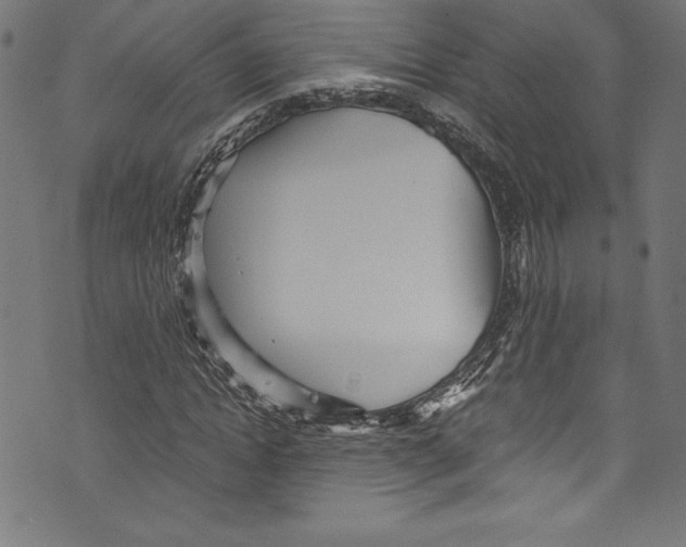 X0000072980822200608211347