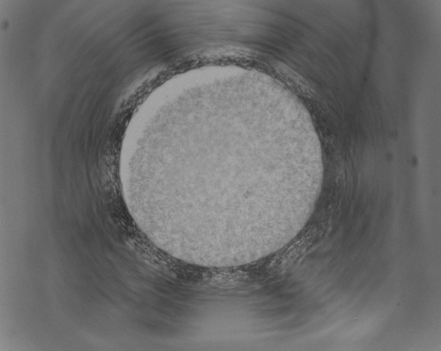 X0000072980824200608211347