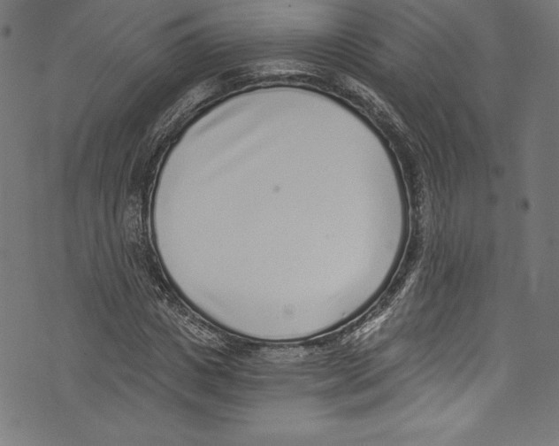 X0000072980825200608211347