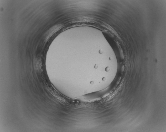 X0000072980826200608211347