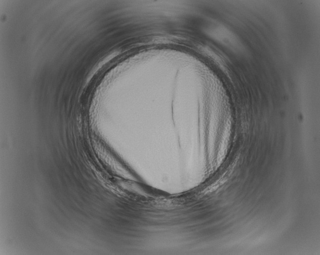 X0000072980827200608211347