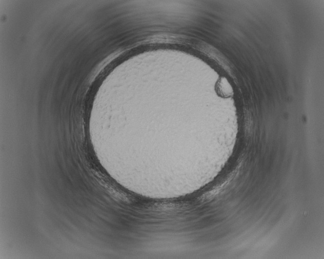 X0000072980829200608211347