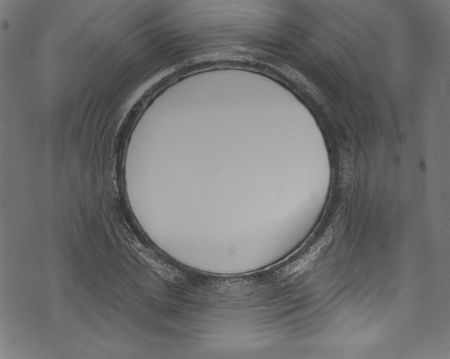 X0000072980830200608211347