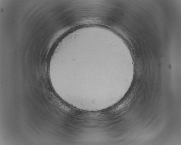 X0000072980831200608211347