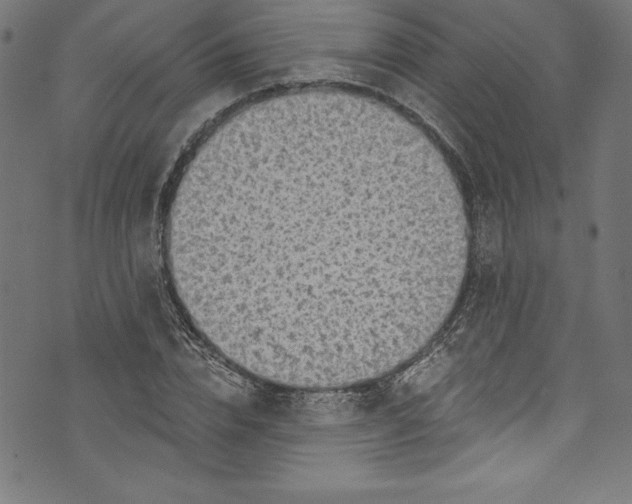 X0000072980832200608211347