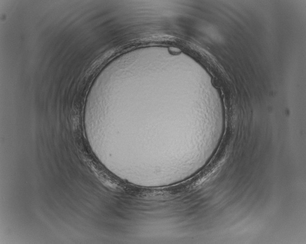 X0000072980833200608211347