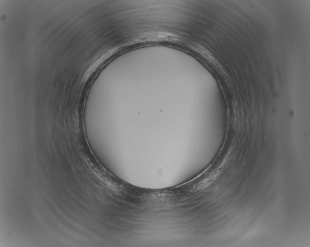 X0000072980834200608211347