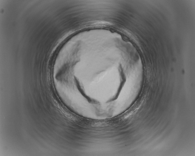 X0000072980835200608211347