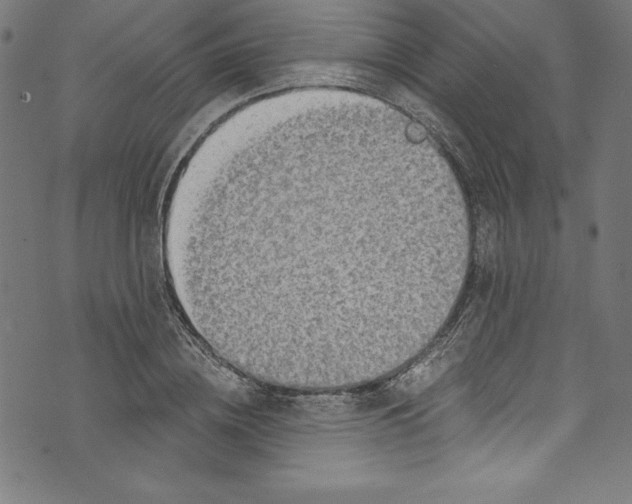 X0000072980836200608211347