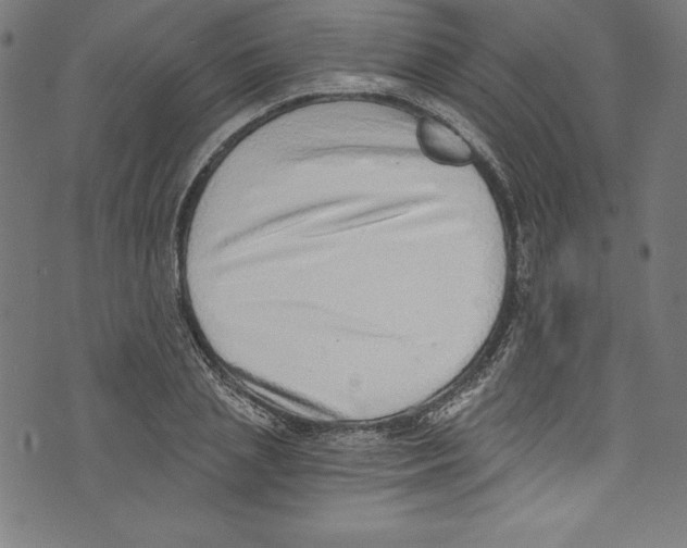 X0000072980837200608211347