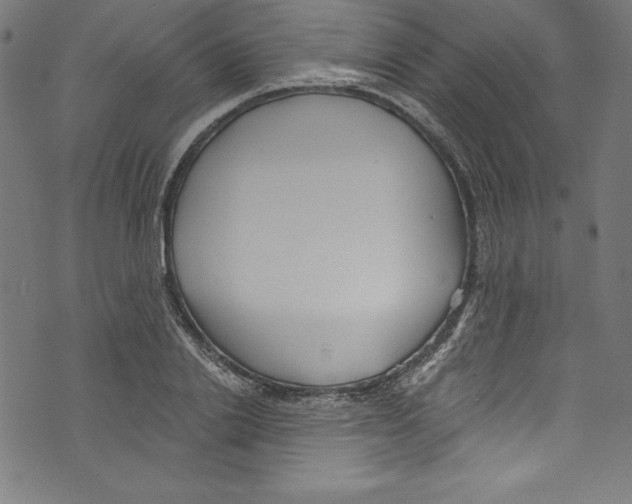 X0000072980838200608211347