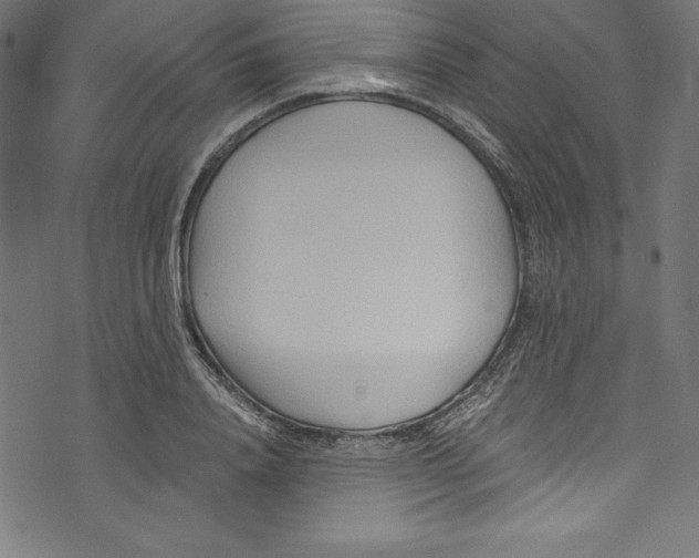 X0000072980840200608211347