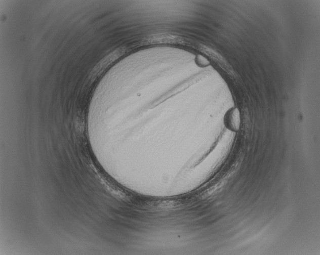 X0000072980841200608211348