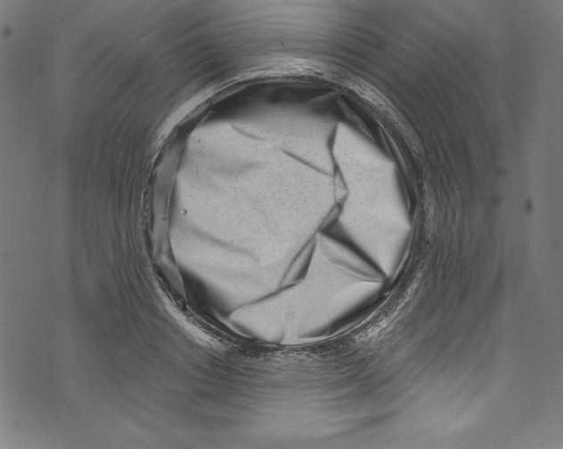 X0000072980842200608211348