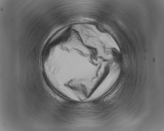 X0000072980843200608211348