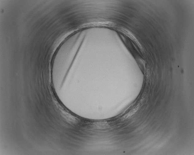 X0000072980844200608211348