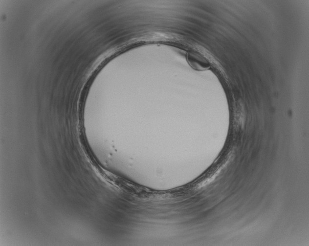 X0000072980845200608211348