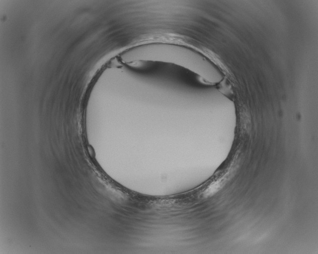 X0000072980846200608211348