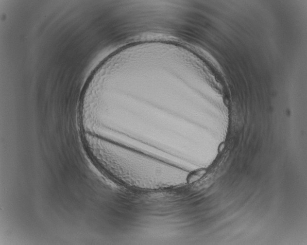 X0000072980847200608211348