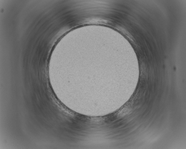 X0000072980848200608211348