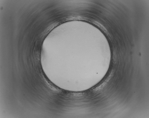 X0000072980849200608211348