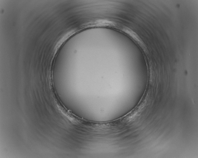 X0000072980850200608211348