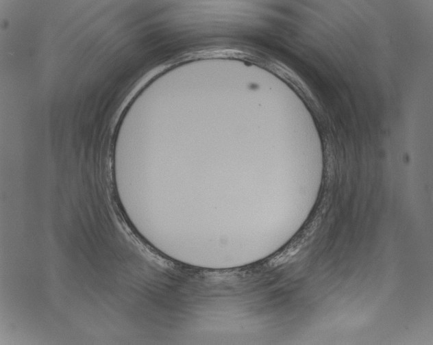 X0000072980852200608211348