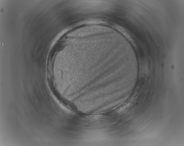 X0000072980853200608211348