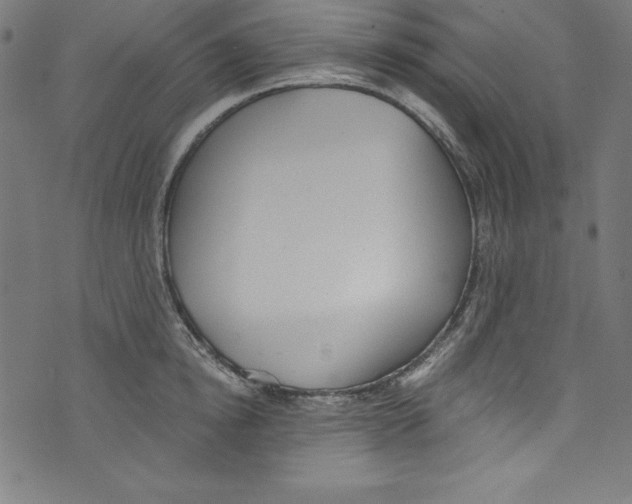 X0000072980854200608211348