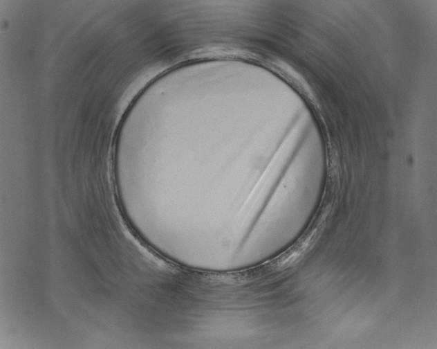 X0000072980855200608211348