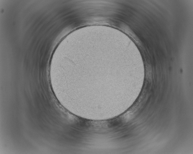 X0000072980856200608211348